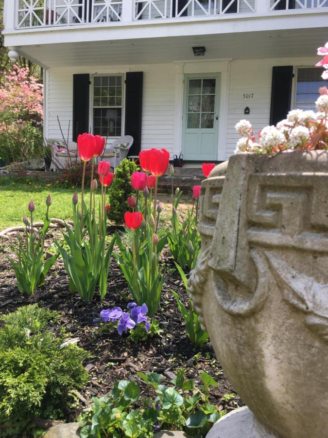 Holiday home House On The Gwynn's Falls *